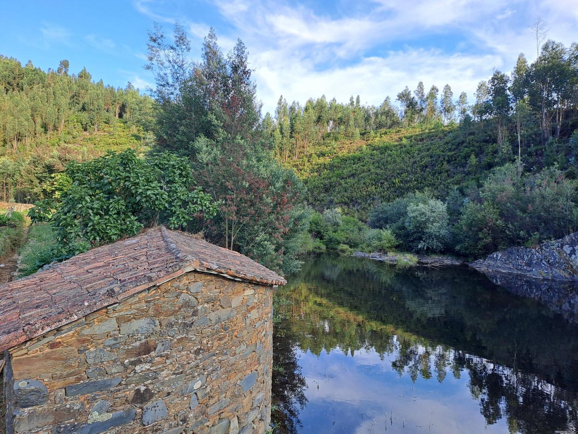 Bed and Breakfast Vista Castelo Сертан Екстер'єр фото